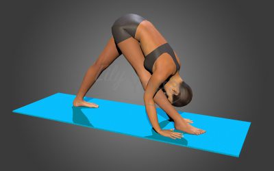 Parsvottanasana Hands On Mat