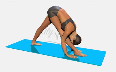 Parsvottanasana Hands On Mat