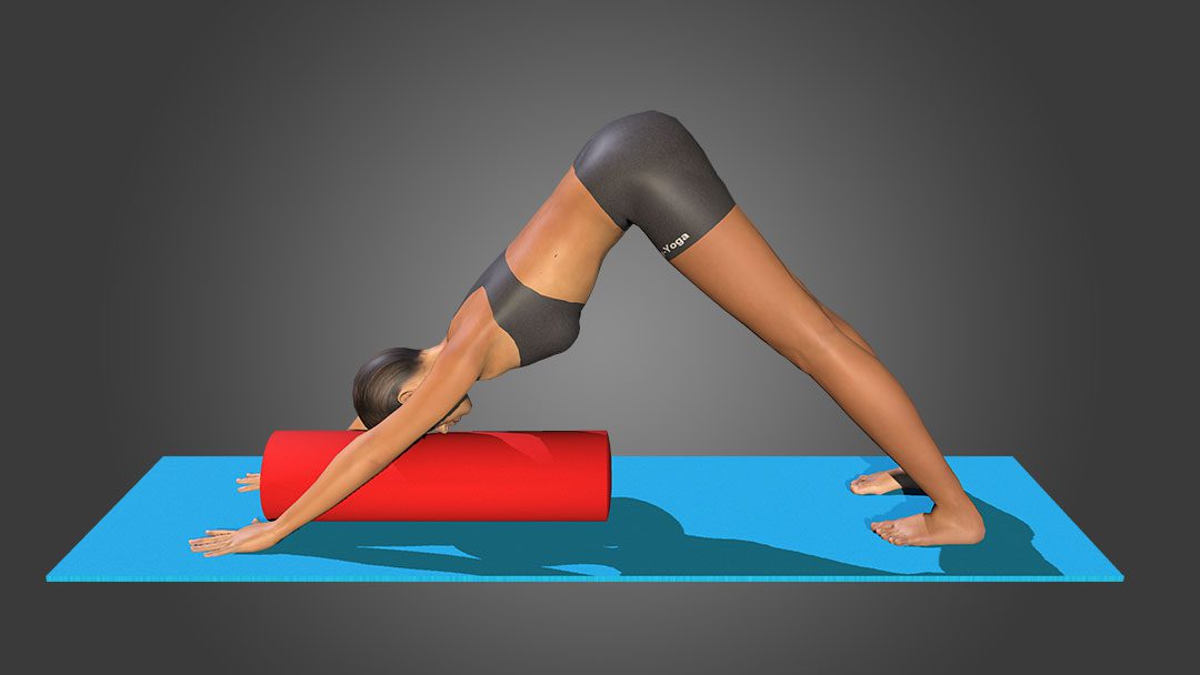 Adho Mukha Svanasana (Variation 1)
