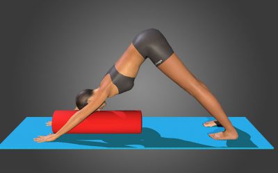 Adho Mukha Svanasana (Variation 1)