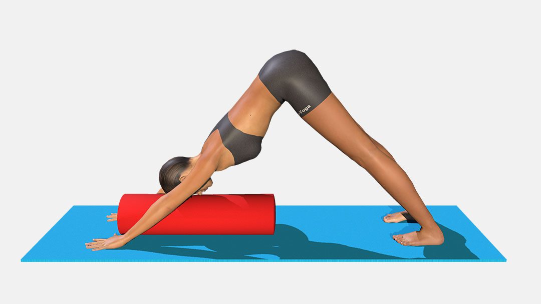 Adho Mukha Svanasana (Variation 1)