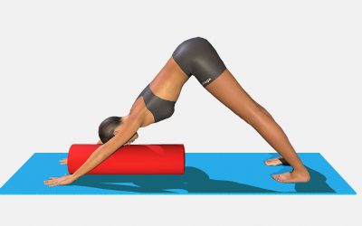 Adho Mukha Svanasana (Variation 1)