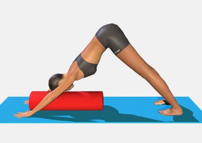 adho-mukha-svanasana-variation-1-view1-color-images-lily-yoga
