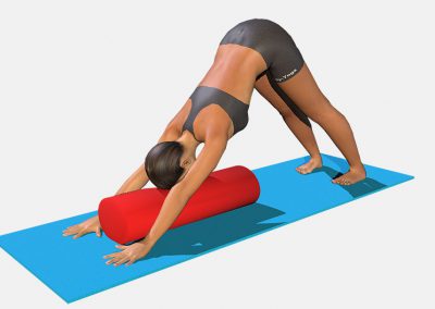 adho-mukha-svanasana-variation-1-view2-color-images-lily-yoga