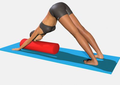 adho-mukha-svanasana-variation-1-view3-color-images-lily-yoga