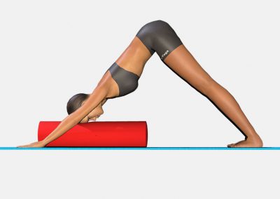 adho-mukha-svanasana-variation-1-view4-color-images-lily-yoga