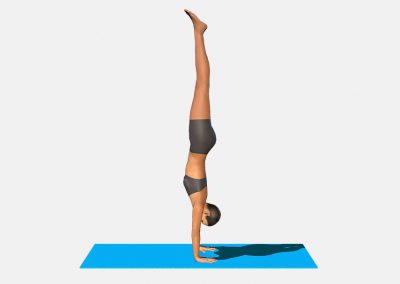 adho-mukha-vriksasana-view1-color-images-lily-yoga