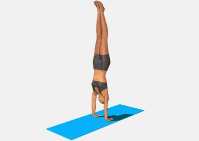 adho-mukha-vriksasana-view2-color-images-lily-yoga