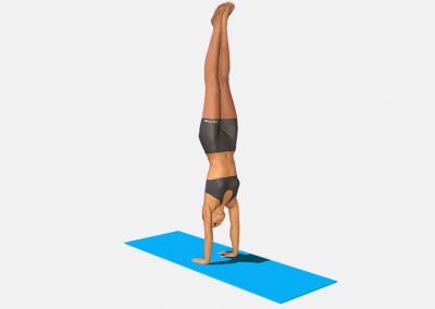 adho-mukha-vriksasana-view3-color-images-lily-yoga