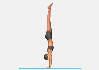 adho-mukha-vriksasana-view4-color-images-lily-yoga