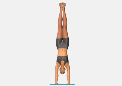 adho-mukha-vriksasana-view5-color-images-lily-yoga