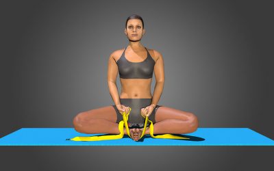 Baddha Konasana (variation 3)