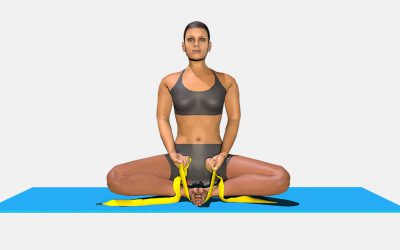 Baddha Konasana (variation 3)