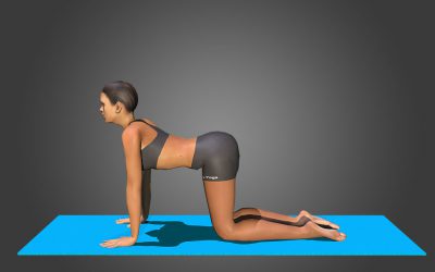 Bitilasana