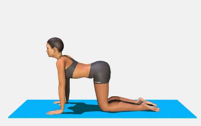 Bitilasana