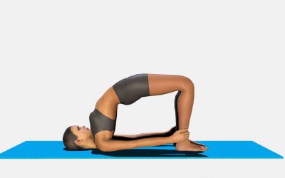 Chatushpadasana