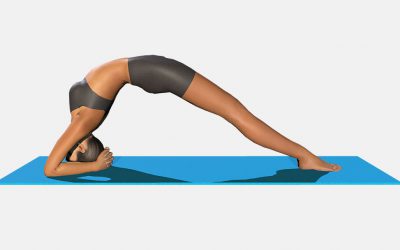 Dvi Pada Viparita Dandasana