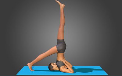 Eka Pada Salamba Sarvangasana
