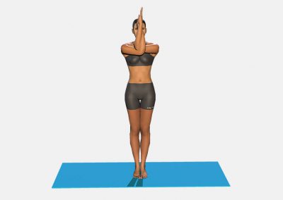 garudasana-variation-1-view1-color-images-lily-yoga