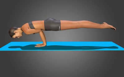 Hamsasana
