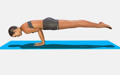 Hamsasana
