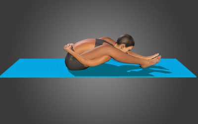 Kurmasana (variation 2)