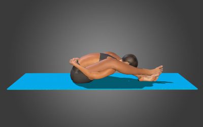 Kurmasana (variation 3)