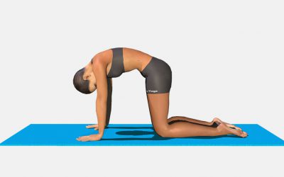 Marjaryasana  (Cat Pose)