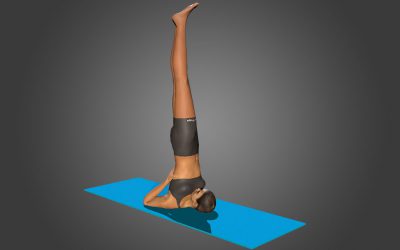 Parsva Sarvangasana (vertical)