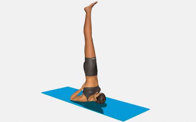 Parsva Sarvangasana (vertical)