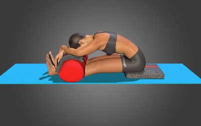 Paschimottanasana (variation 3)
