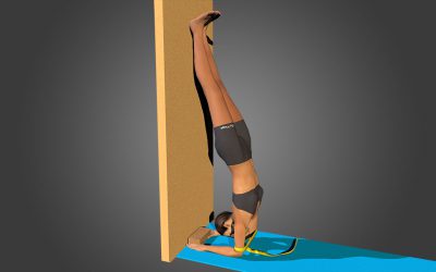 Pincha Mayurasana (variation 1)