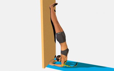 Pincha Mayurasana (variation 1)