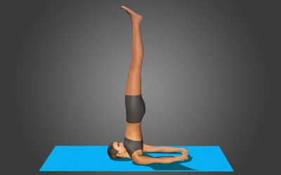 Salamba Sarvangasana II