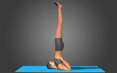 Salamba Sarvangasana