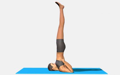 Salamba Sarvangasana