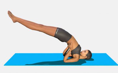 Setu Bandha Sarvangasana (variation 1)