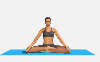 Siddhasana