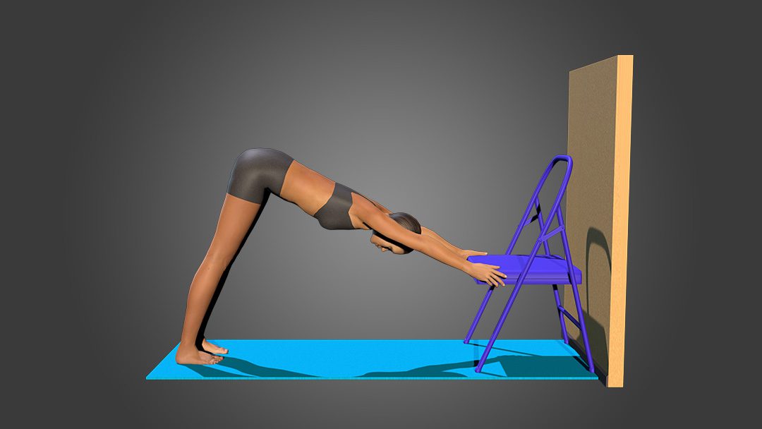 Adho Mukha Svanasana (variation 2 )