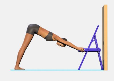 adho-mukha-svanasana-variation-2-view4-images-colors-lily-yoga
