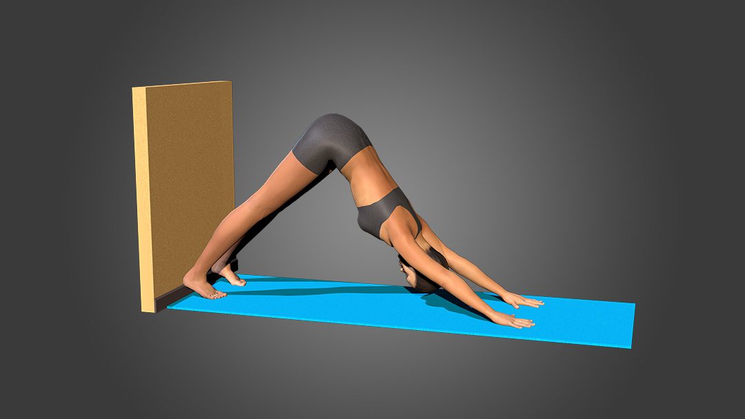 Adho Mukha Svanasana (variation 3), heels to the wall