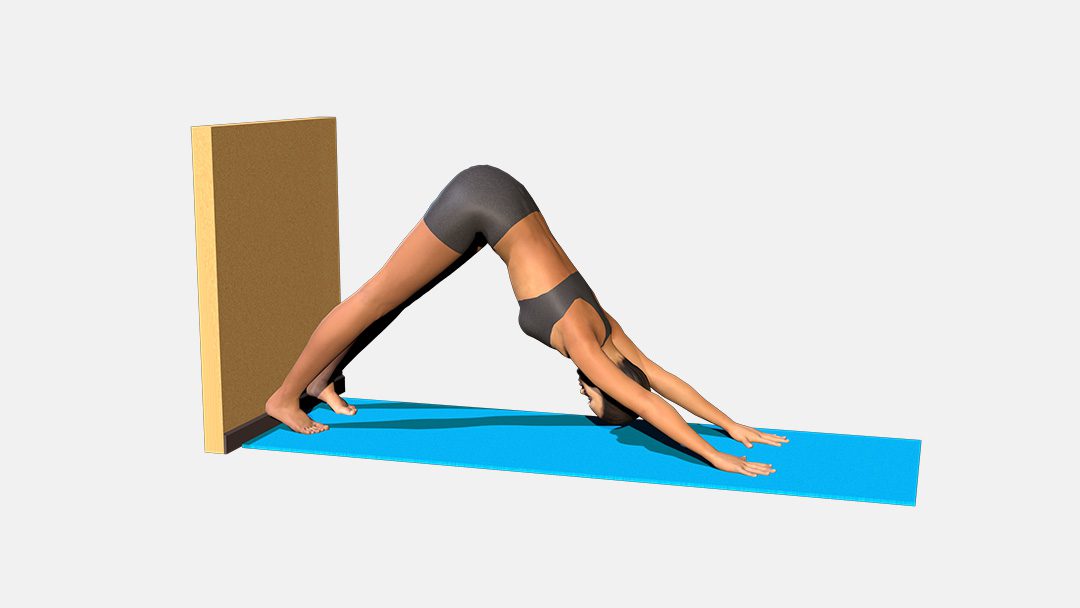 Adho Mukha Svanasana (variation 3), heels to the wall