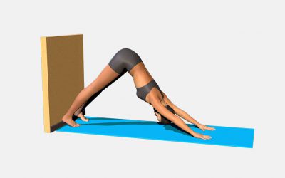 Adho Mukha Svanasana (variation 3), heels to the wall