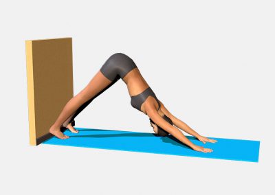 adho-mukha-svanasana-variation-3-view1-images-colors-lily-yoga