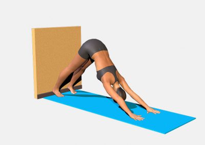 adho-mukha-svanasana-variation-3-view2-images-colors-lily-yoga