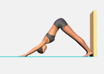 adho-mukha-svanasana-variation-3-view3-images-colors-lily-yoga