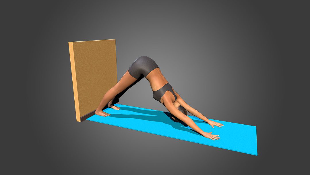 Adho Mukha Svanasana (variation 4), heels to the wall and floor