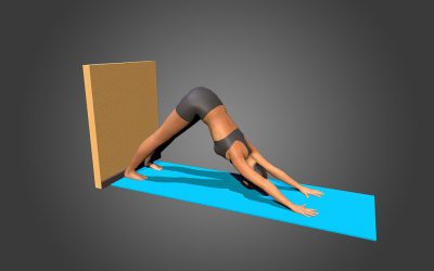 Adho Mukha Svanasana (variation 4), heels to the wall and floor
