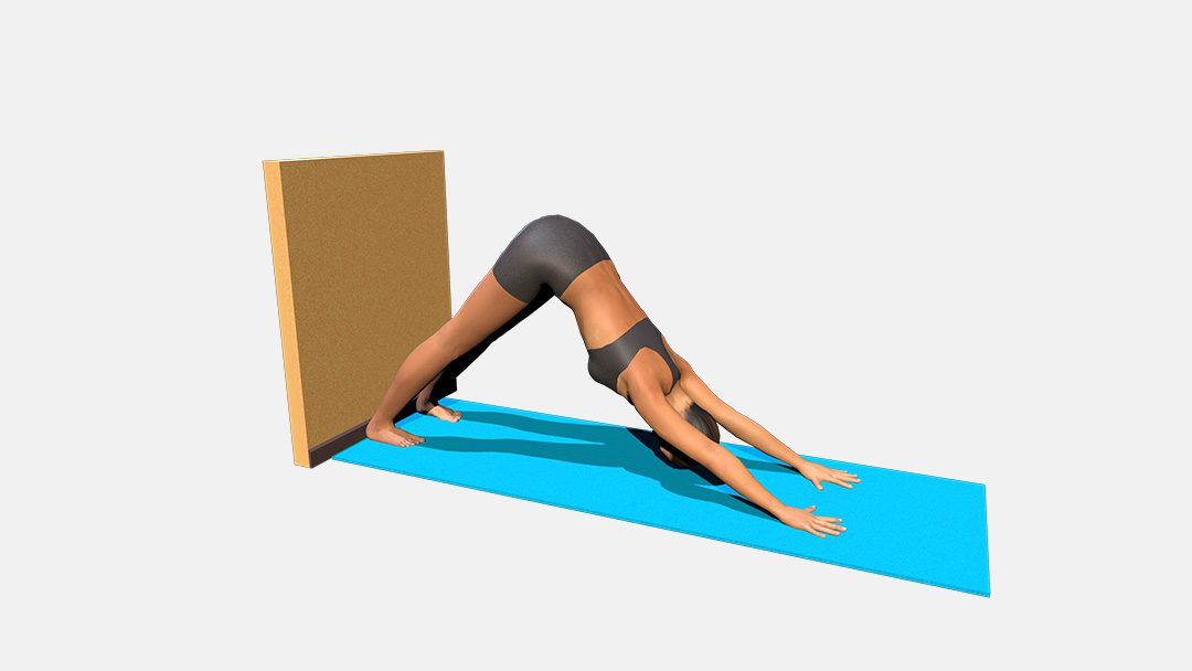 Adho Mukha Svanasana (variation 4), heels to the wall and floor