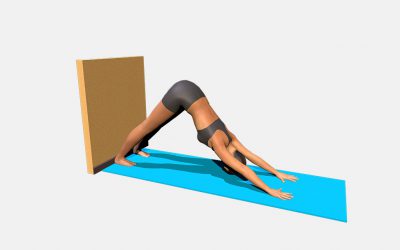 Adho Mukha Svanasana (variation 4), heels to the wall and floor